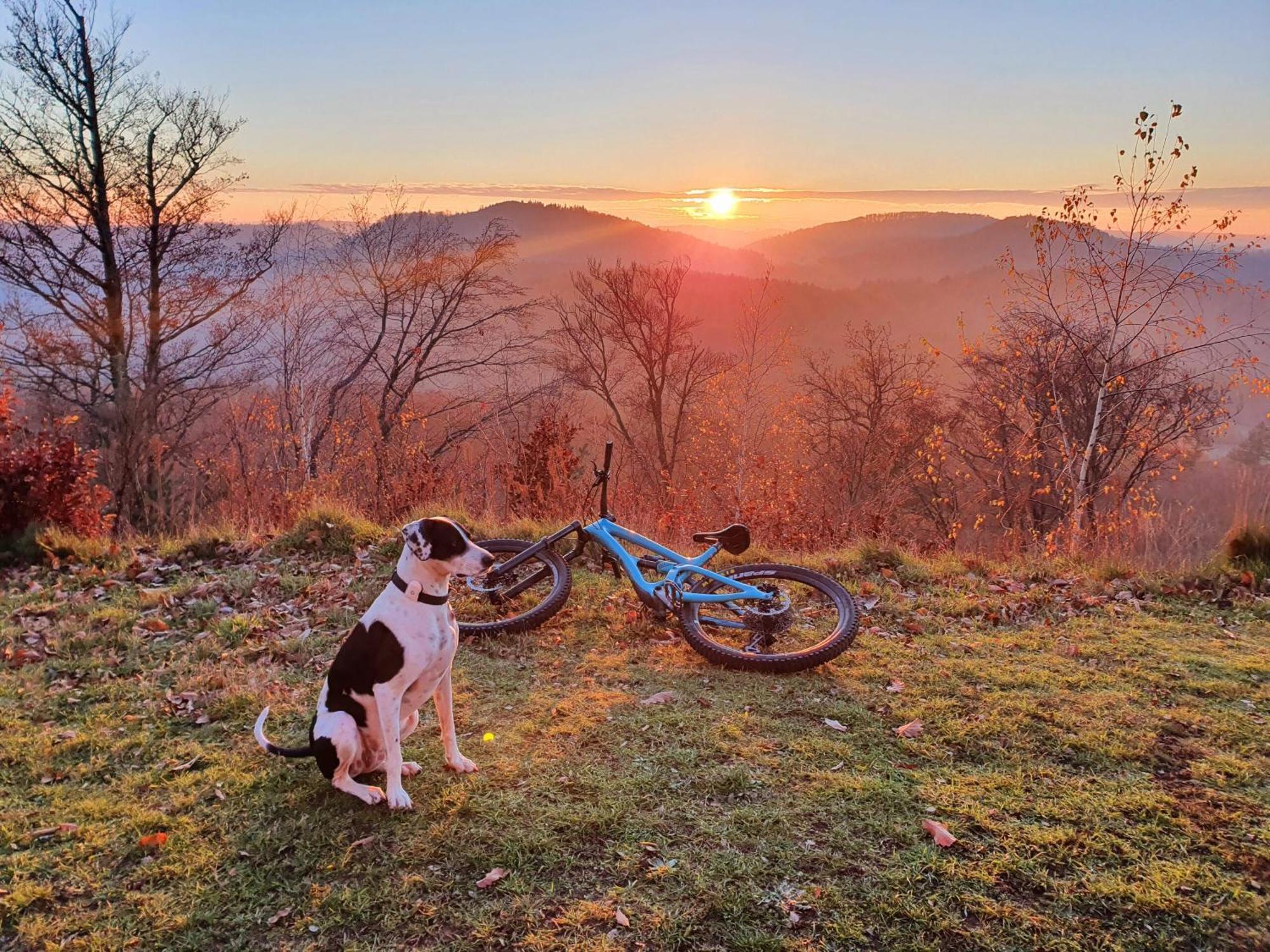 Pfalztraum Fewo'S Bruchweiler-Bärenbach Exteriér fotografie